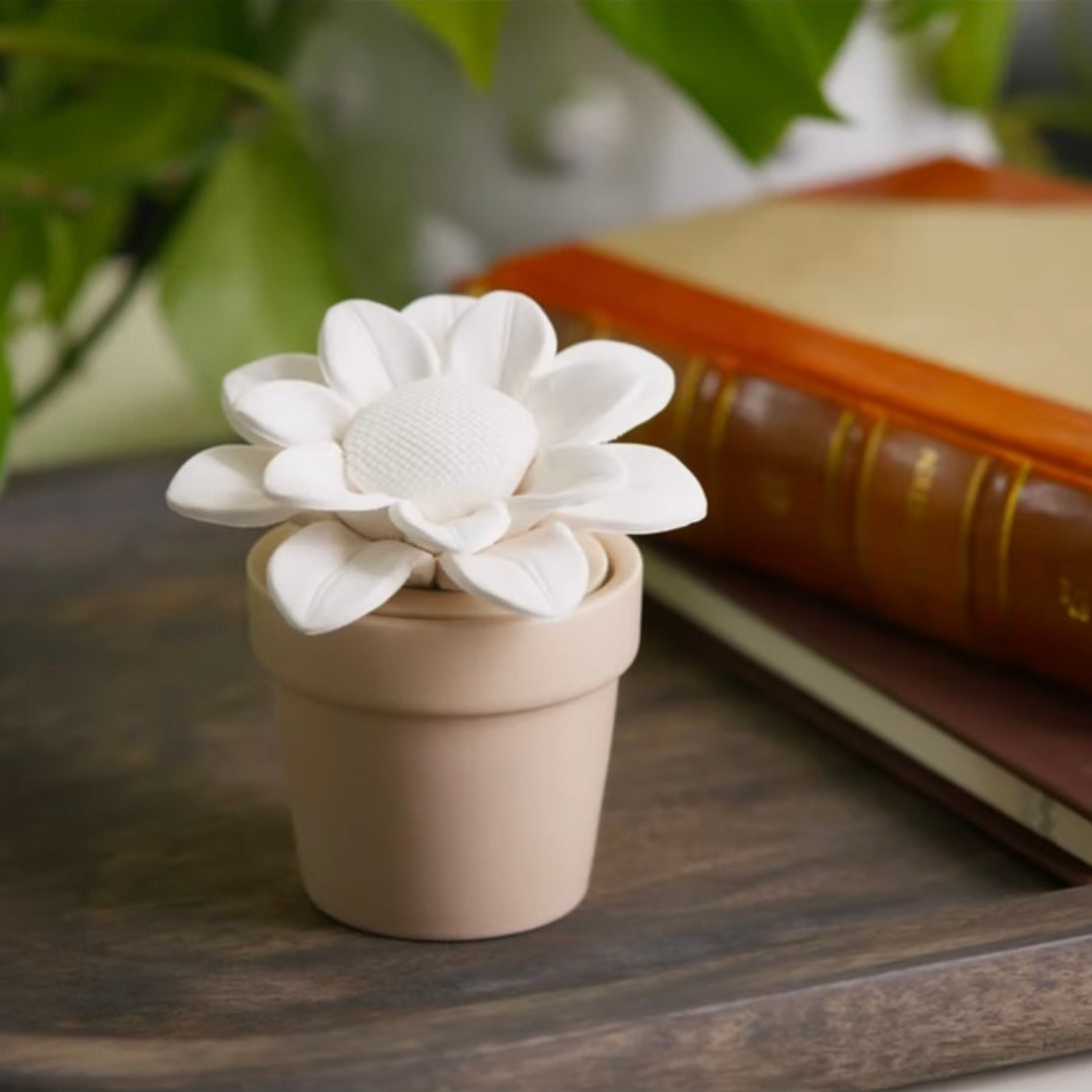 Sunflower Diffuser