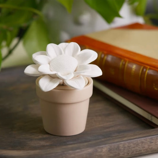 Sunflower Diffuser