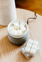 Load image into Gallery viewer, Summer Lovin Soy Wax Melt
