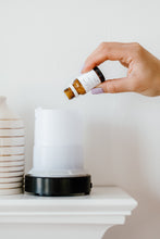 Load image into Gallery viewer, Peachy Diffuser Blend
