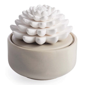 Succulent Diffuser